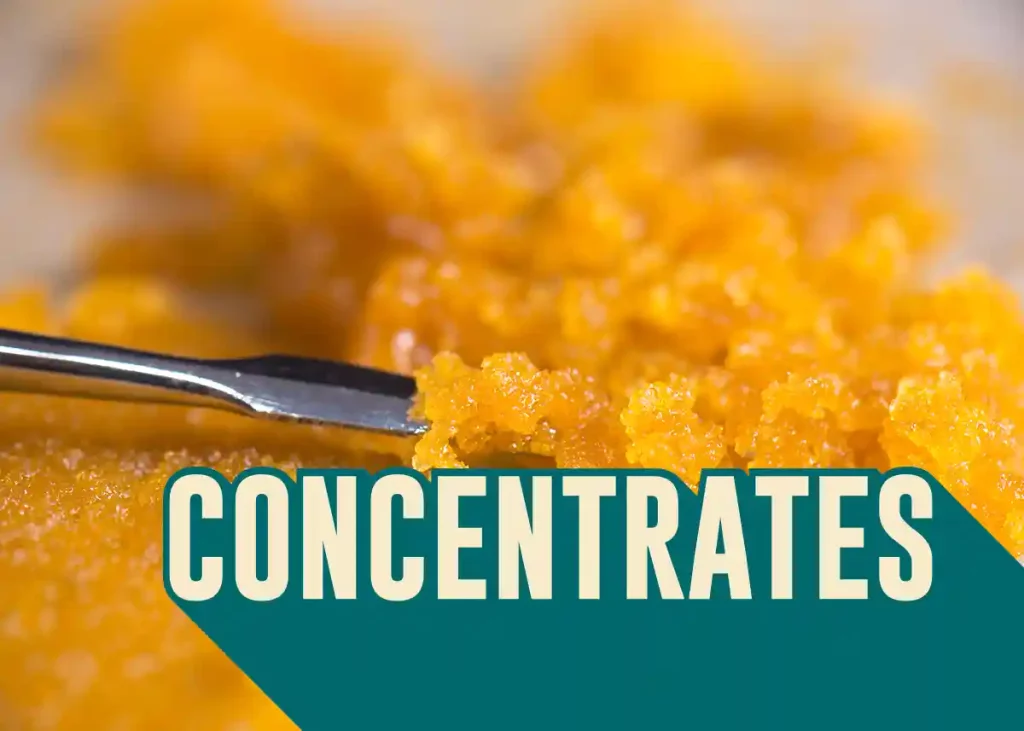 From the Earth Cannabis Shop Category Concentrates