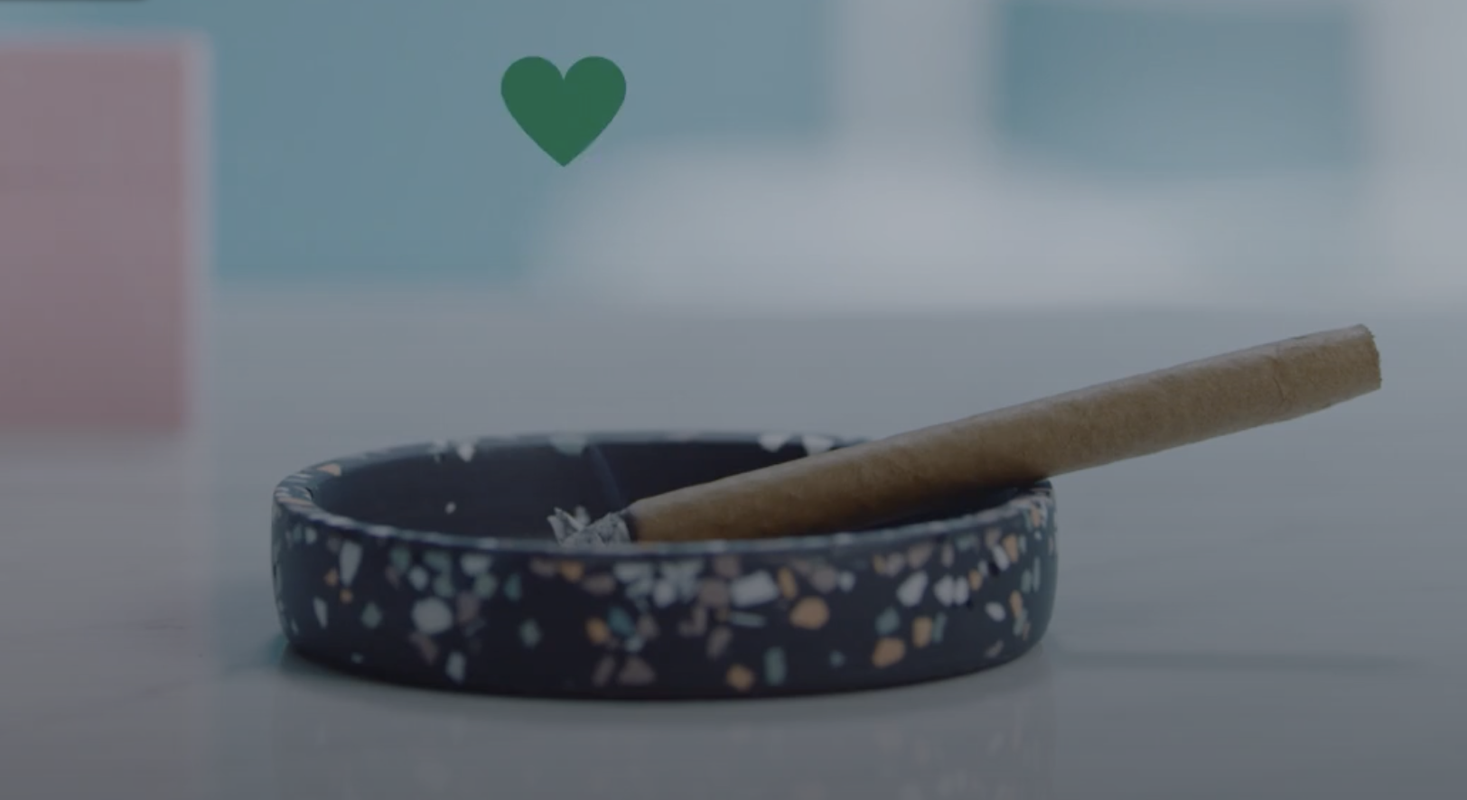 How to Roll a Blunt From the Earth Cannabis Dispensary